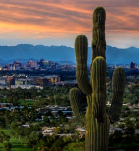 Business Services In Phoenix